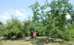 Zahradka v osobnom vlastnictve - Sena – fotka 2