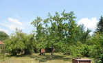 Zahradka v osobnom vlastnictve - Sena – fotka 4