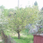 ID3150 - Záhrada v Budimíri – fotka 4