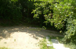 Záhrada, Košice - Darg.hrdinov - Furča, Slivník – fotka 2