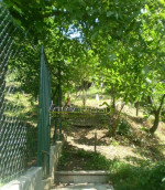 Záhrada, Košice - Darg.hrdinov - Furča, Slivník – fotka 3